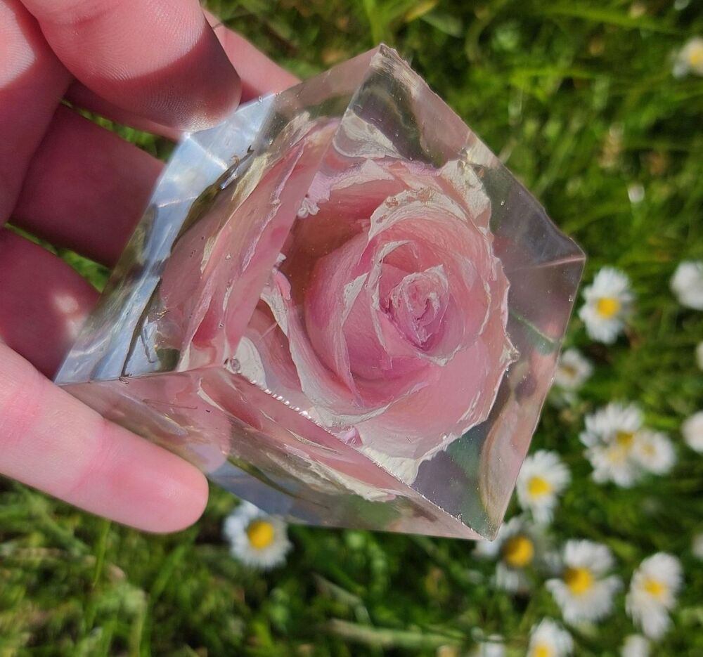 5cm Single Rose Cube