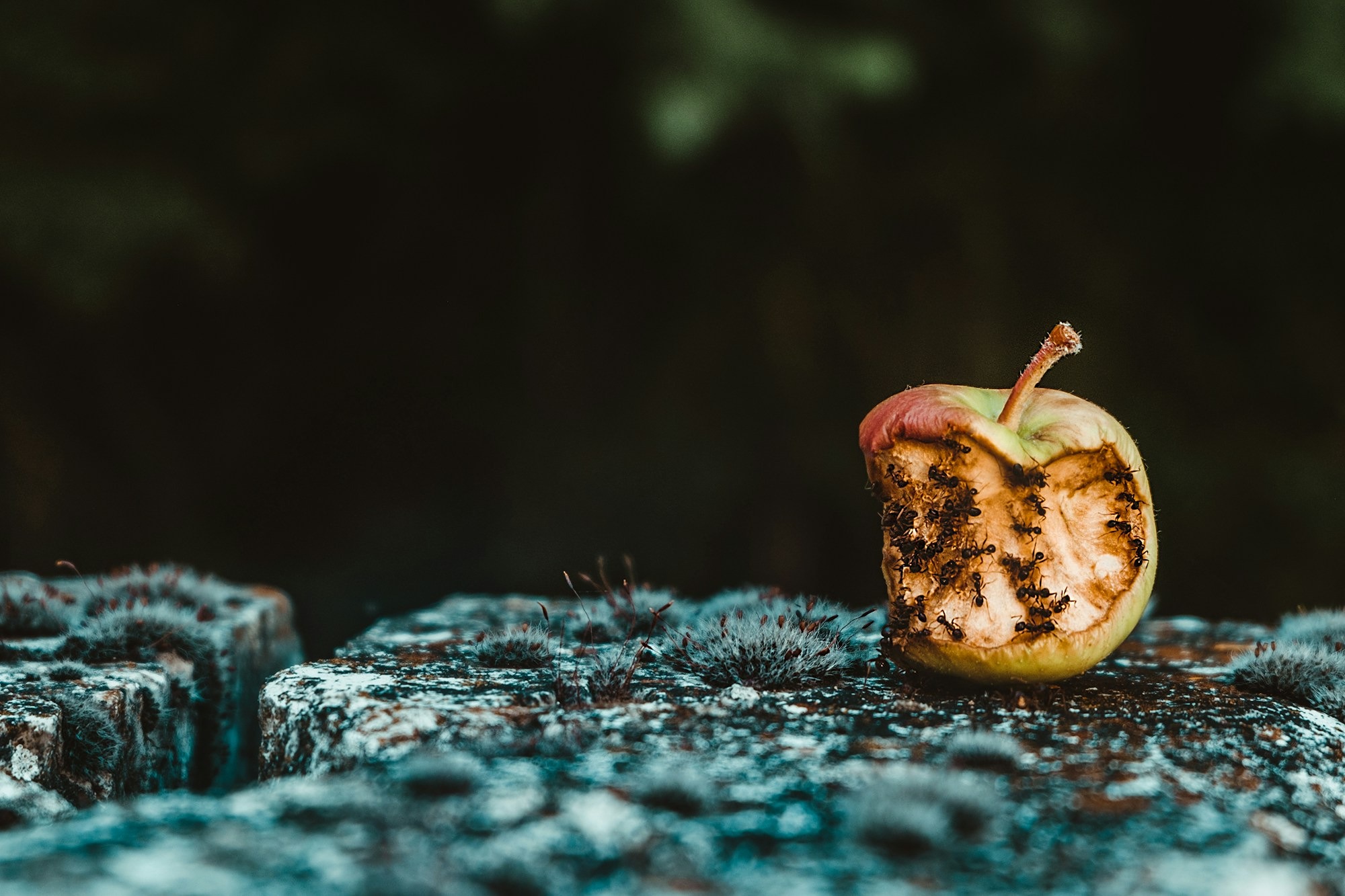 image of a bad apple
