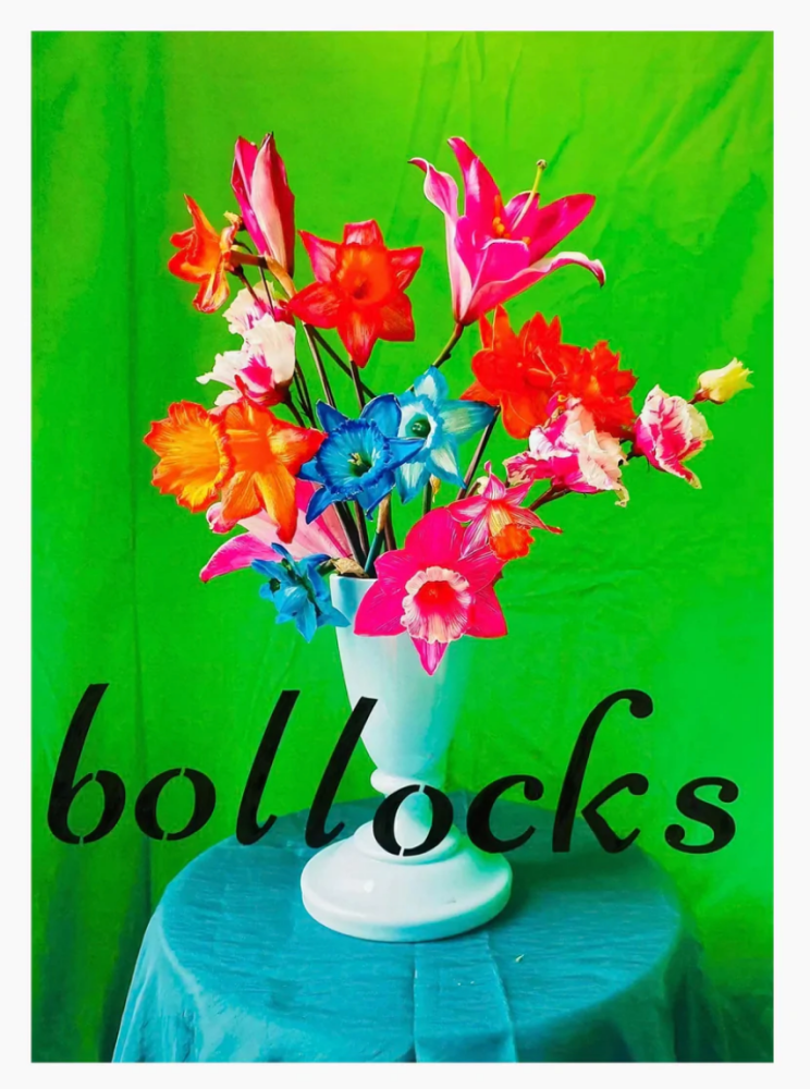 Bollocks, Daffodils HANNAH SHILLITO X YAN SKATES