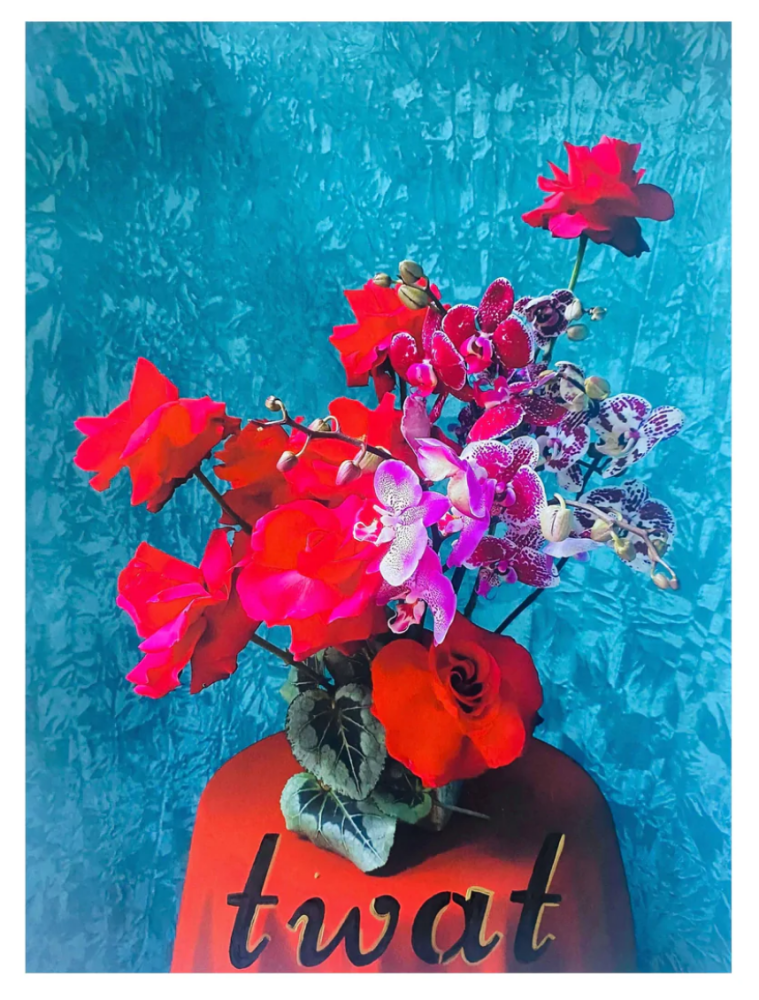 HANNAH SHILLITO X YAN SKATES Twat, Roses, Orchid