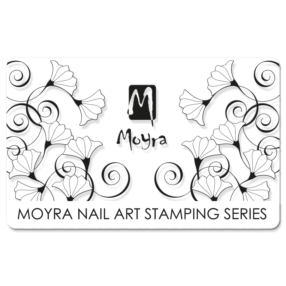 Moyra Scraper - 11 Transparent