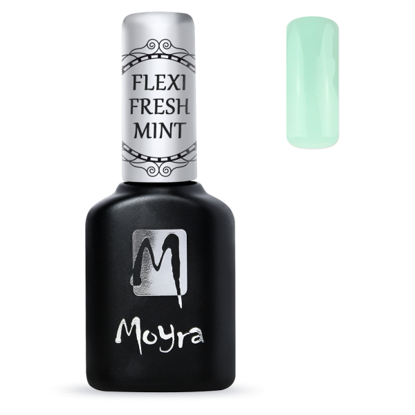 Flexi Builder Shimmery Mint