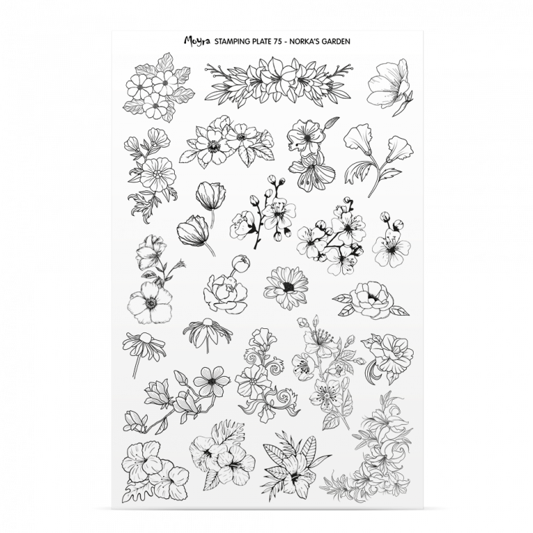 Stamping Plate 75 Norka's Garden Try on sheet
