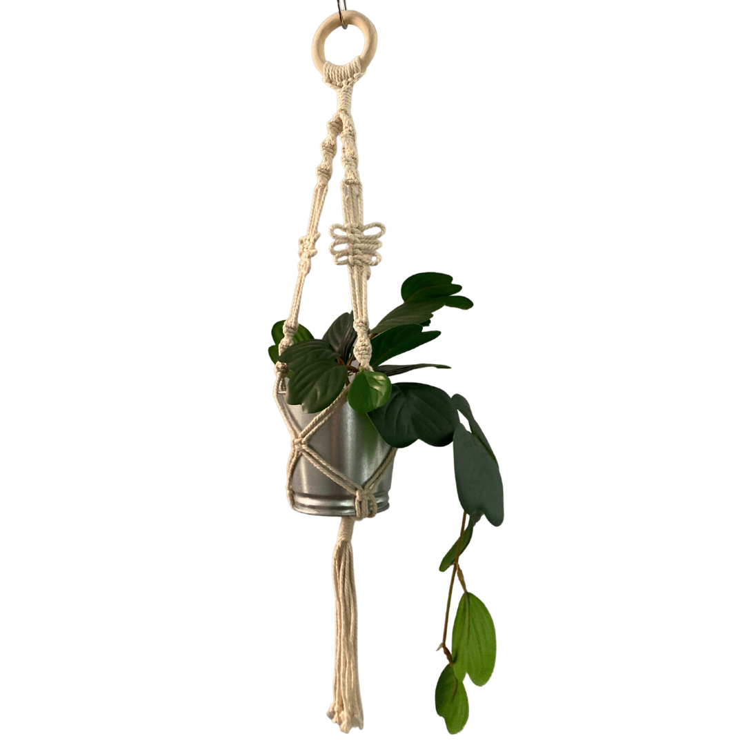 Macrame Plant Hangers - Saturday 25th May - 10am - 12pm