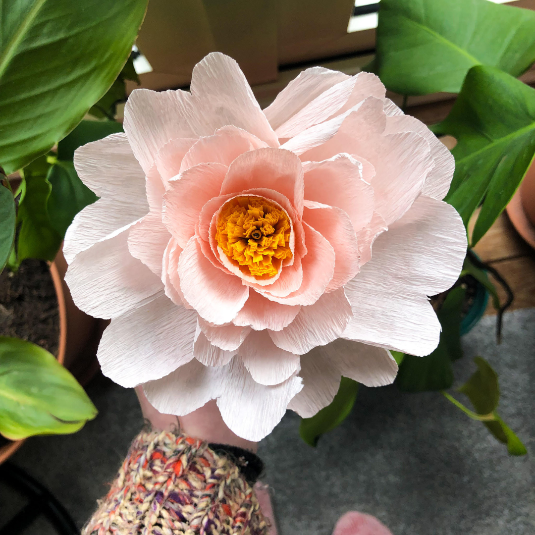 Colourful Paper Peony/Flower Craft Techniques - Sunday 25th May - 10am - 12