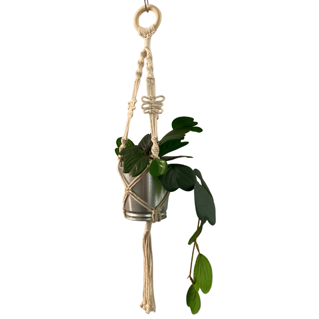 Macrame Plant Hanger - Friday 4th July - 7pm - 9pm