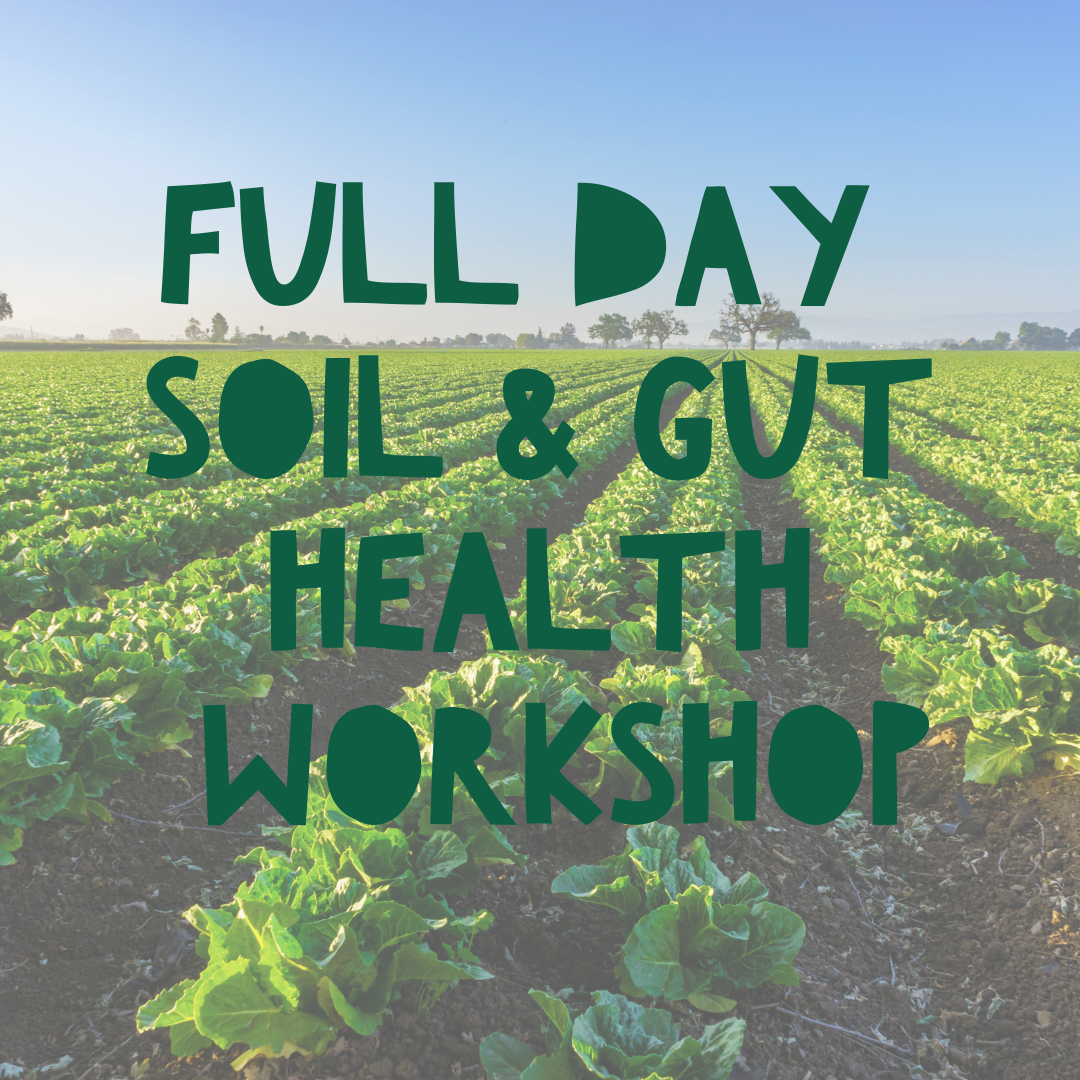 Full Day Soil Workshop