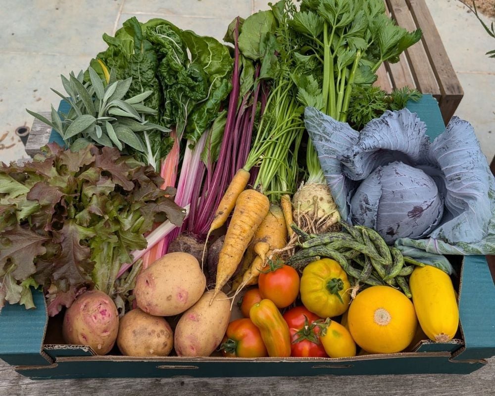 Lower Cock Ash Veg Box