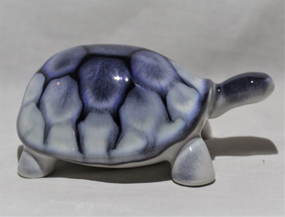 Tortoise - Ocean Design