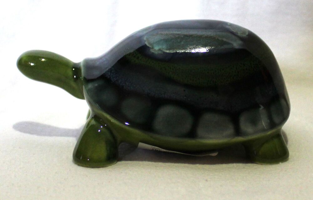 Tortoise - Maya Design