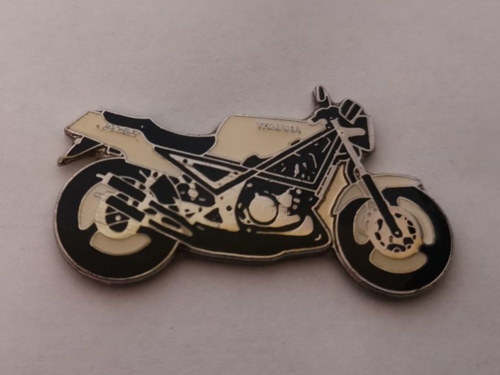 R1 Z lapel pin badge (0478)..