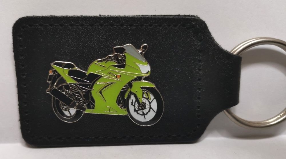 Ninja 250R badged keyring (1160)