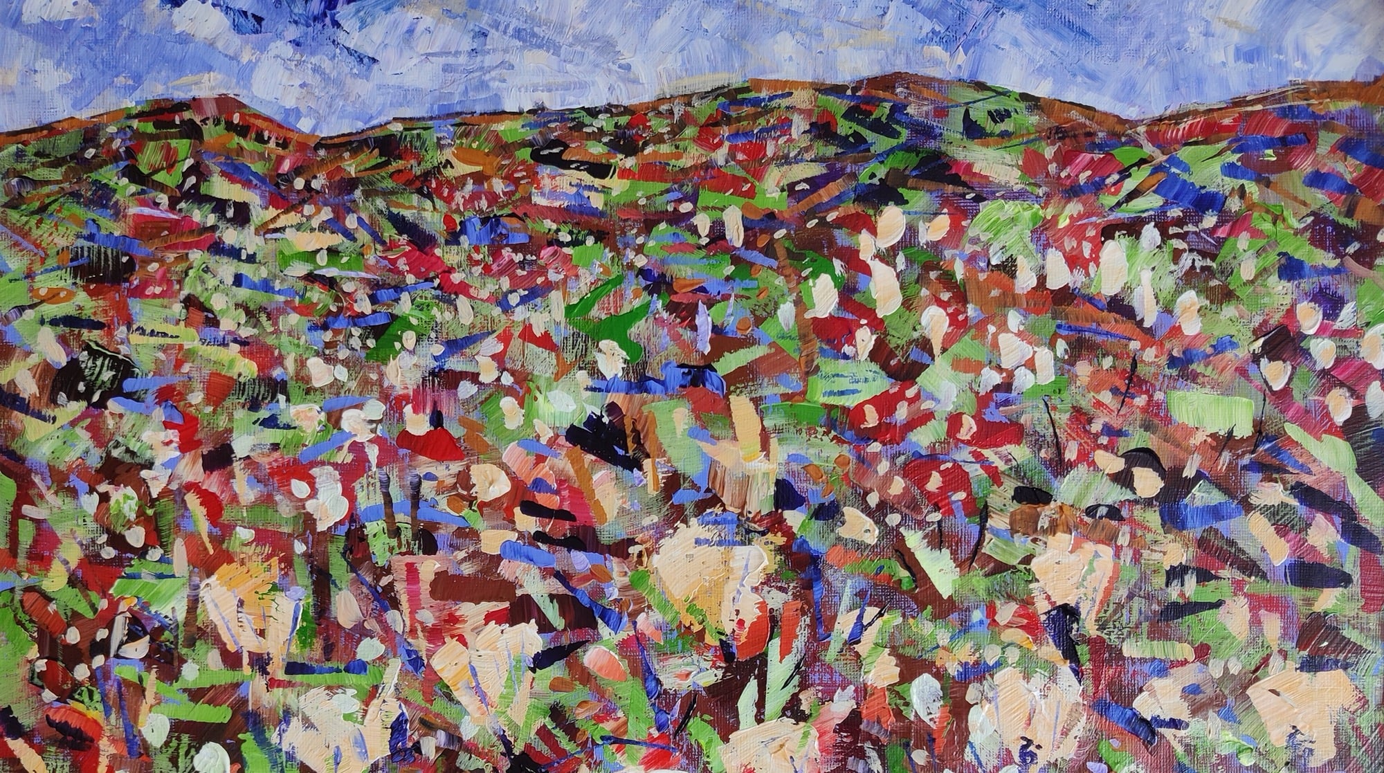 an acrylic painting for sale of bog cotton on a morr in Lancashire