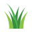 artificial grass