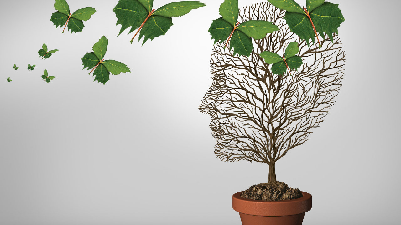 a head shaped tree with butterlfy shaped leaves flying towards it 