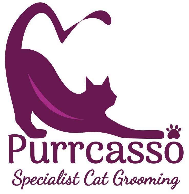 Specialist Cat Grooming