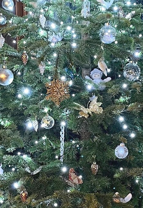 New Christmas collection 