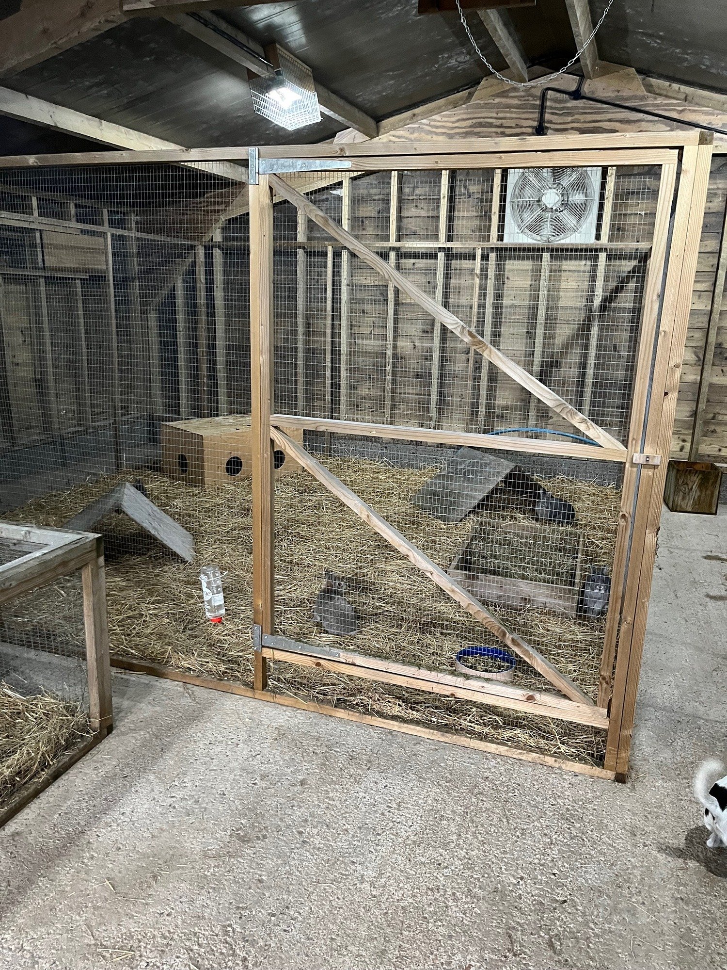 winter bunny pen.jpg