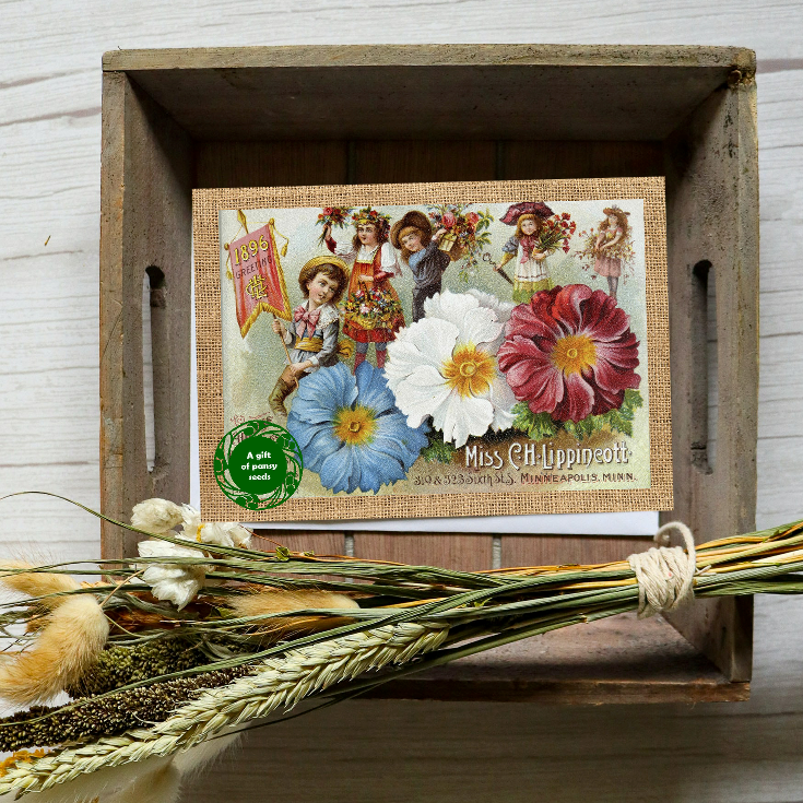 Vintage Pansy Landscape Seed Card - Seeds with Love