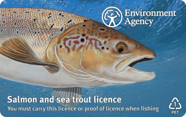 EA Rod License for Salmon and Sea Trout 2022