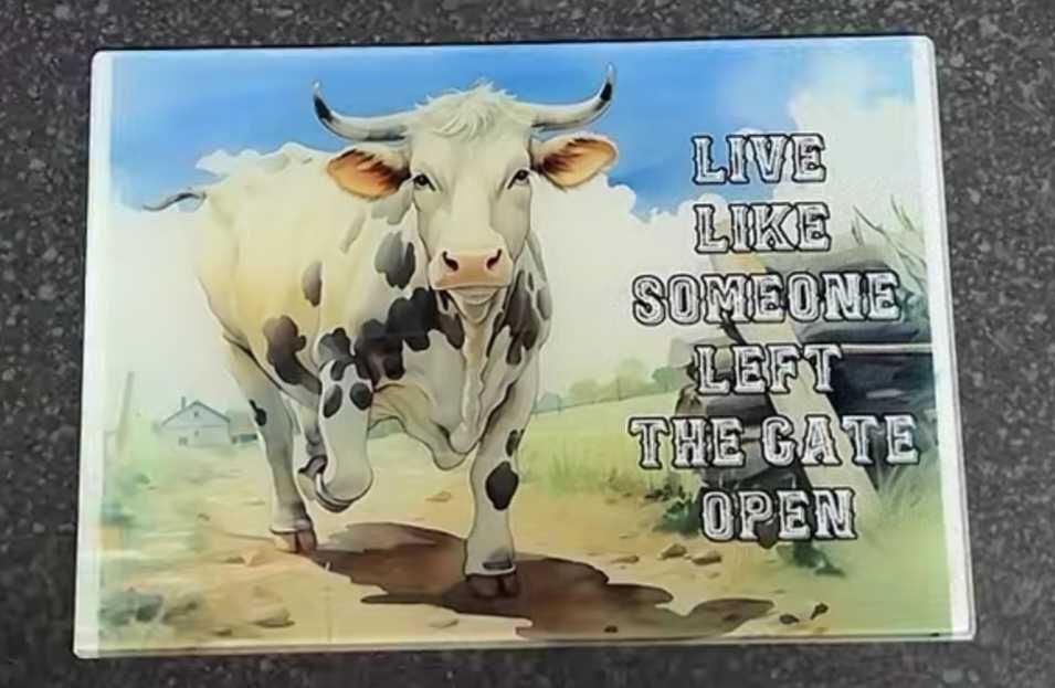 Glass chopping board  smooth 20cm x 28cm