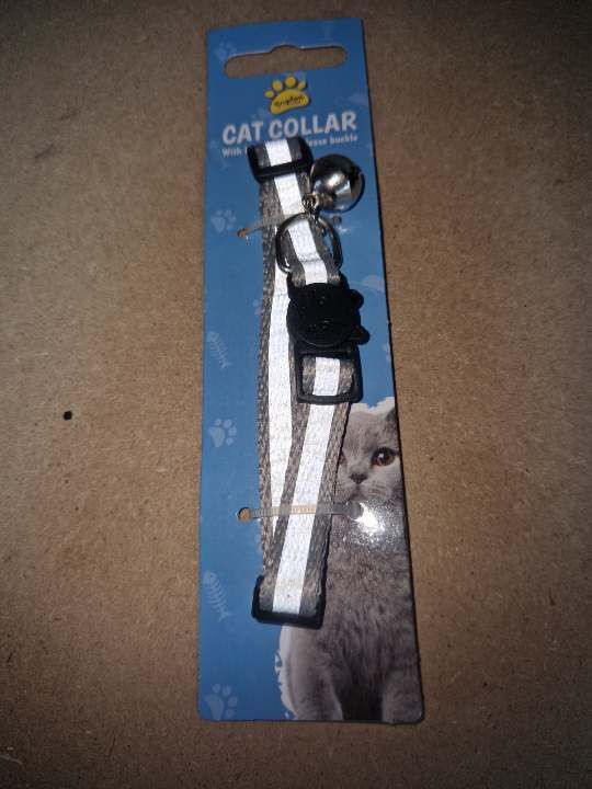 Grey cat collar