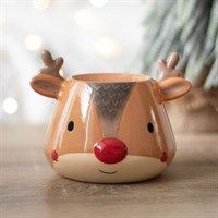 Reindeer burner