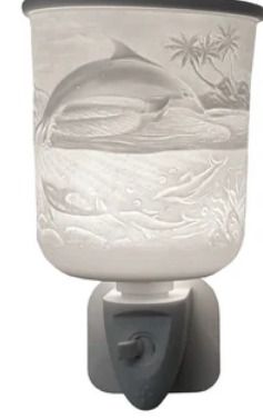 Dolphin plug in electric burner
