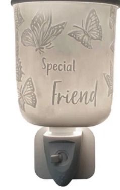 Special friend plug in burner