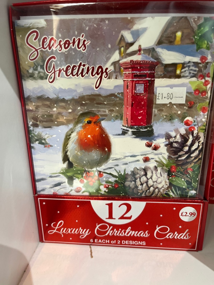12 luxury Xmas cards ( robin with post box)