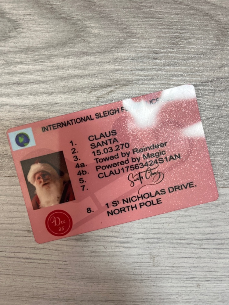 International sleigh flying licence