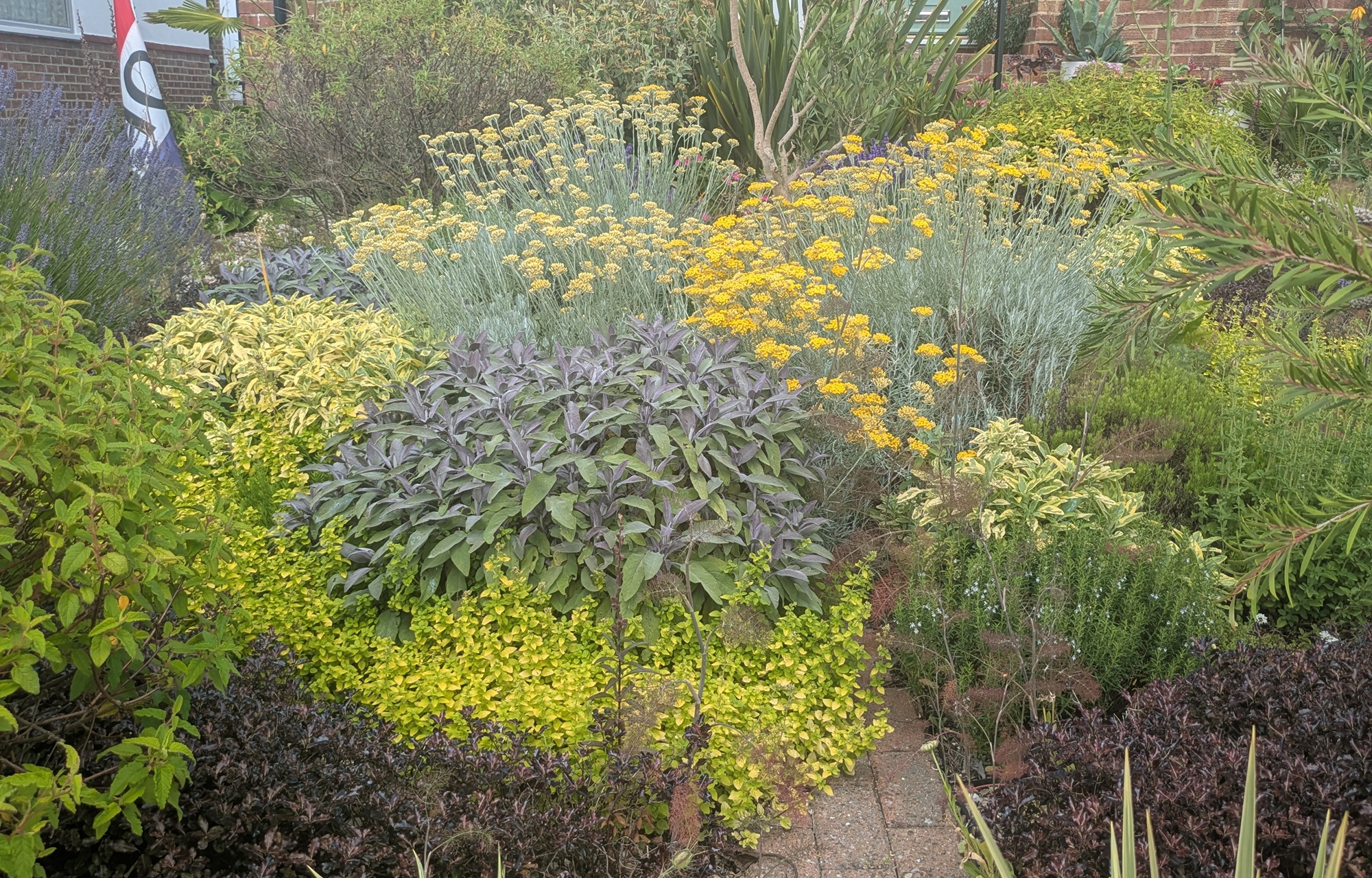 Fionas garden