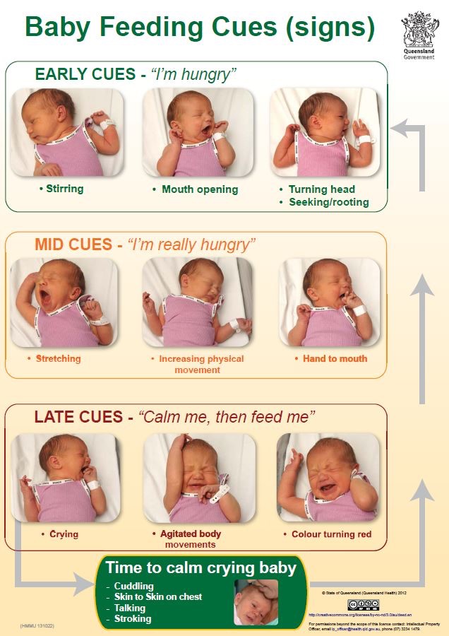 baby_cues