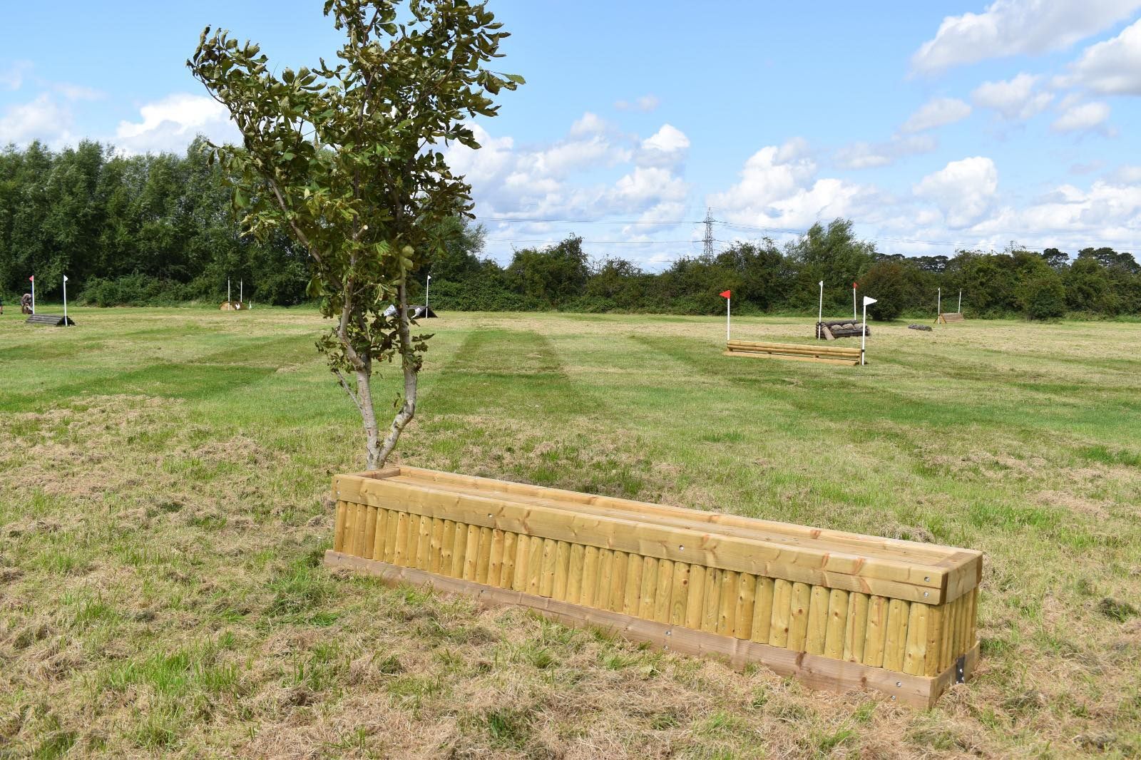 cross-country-arkenfield