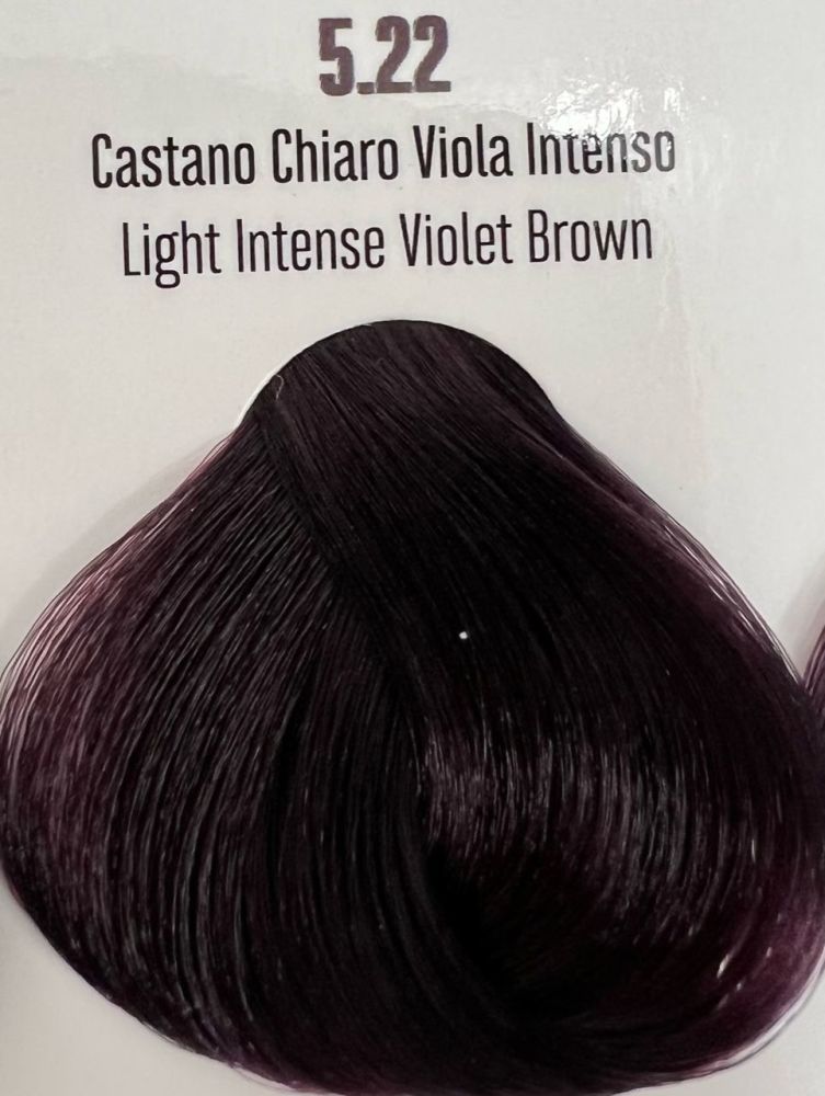 Viba Professional Permanent Color – 5.22 Light Intense Violet Brown 100ml