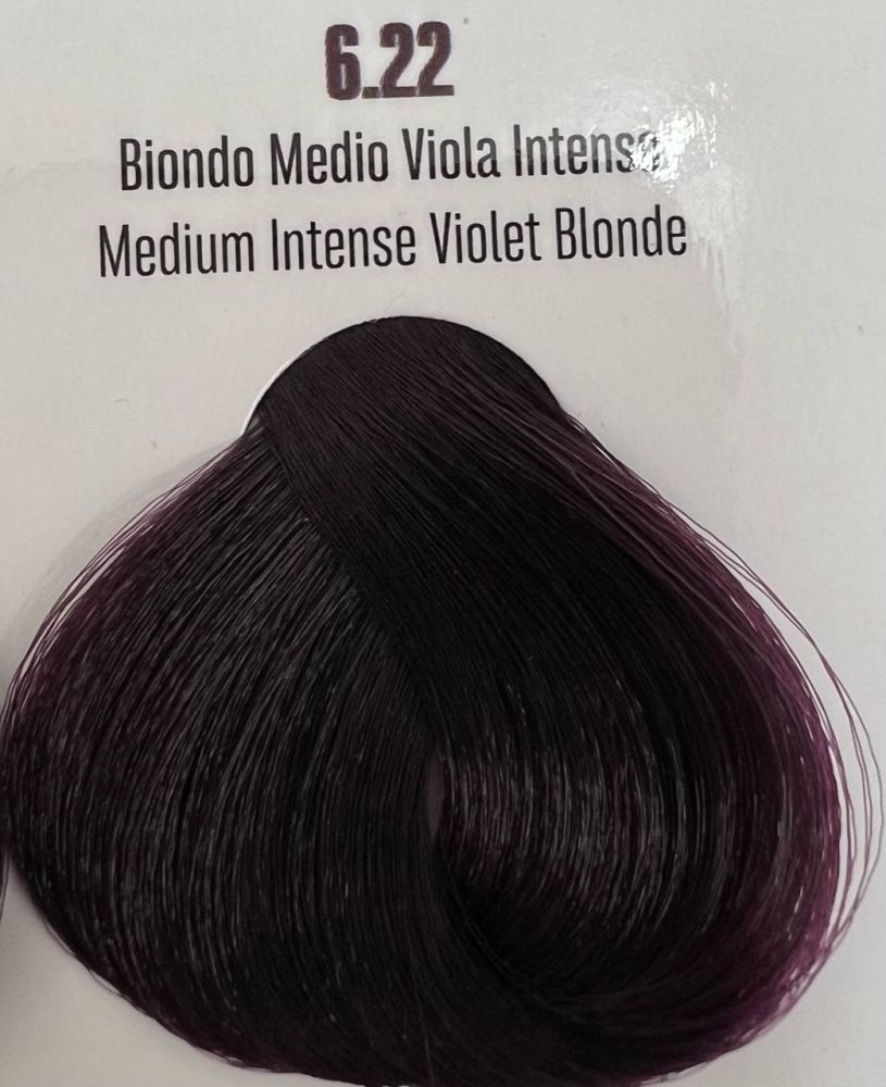 Viba Professional Permanent Color – 6.22 Medium Intense Violet Blonde 100ml