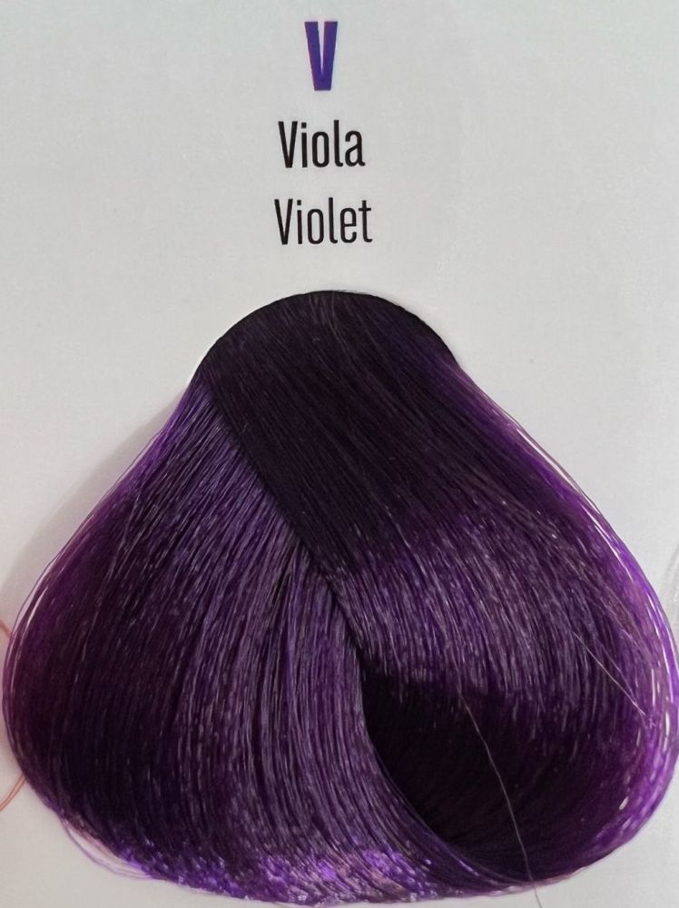 Viba Professional Permanent Color – viola Violet 100ml