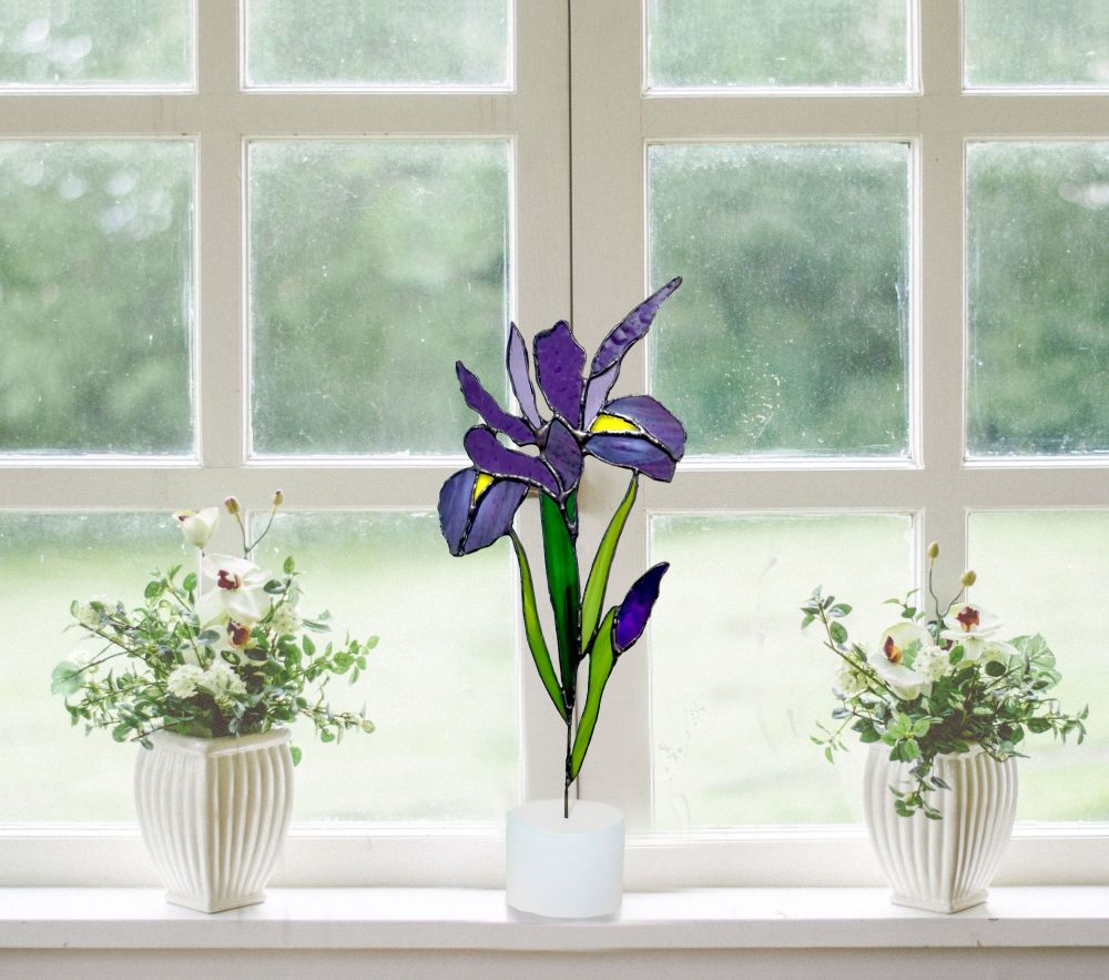 iris-window