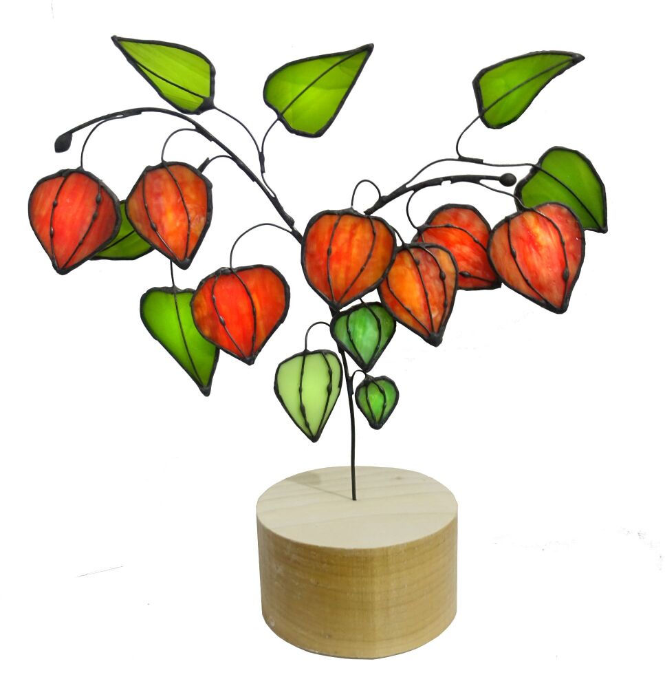 Stained Glass Chinese Lantern Plant Physalis