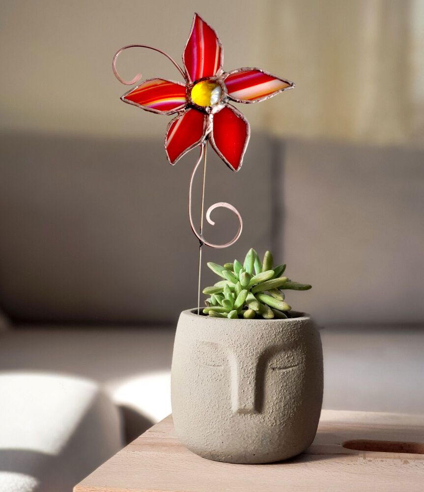 Red-Plant-Pot-Flower