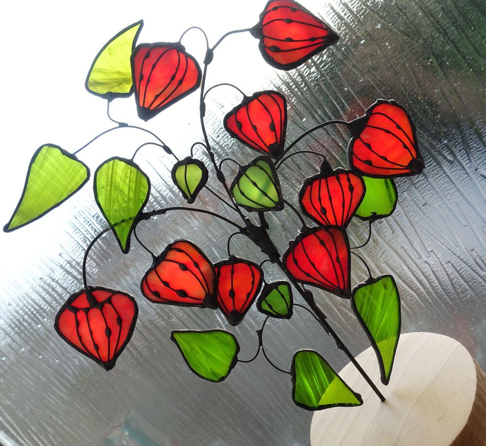 physalis-plant-glassartnew12
