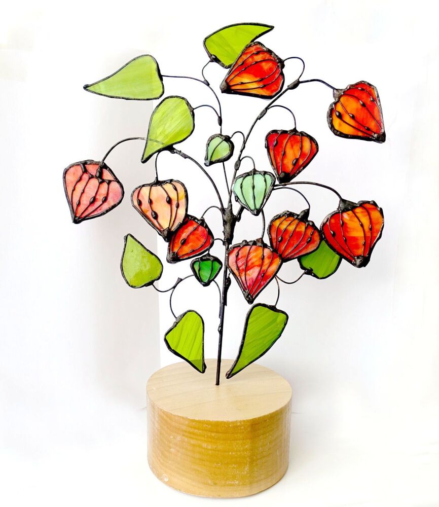 Stained Glass Chinese Lantern Plant Physalis