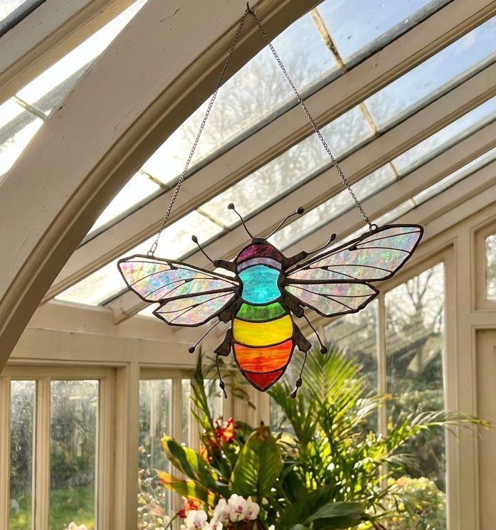bee_rainbow.jpg_202605081331