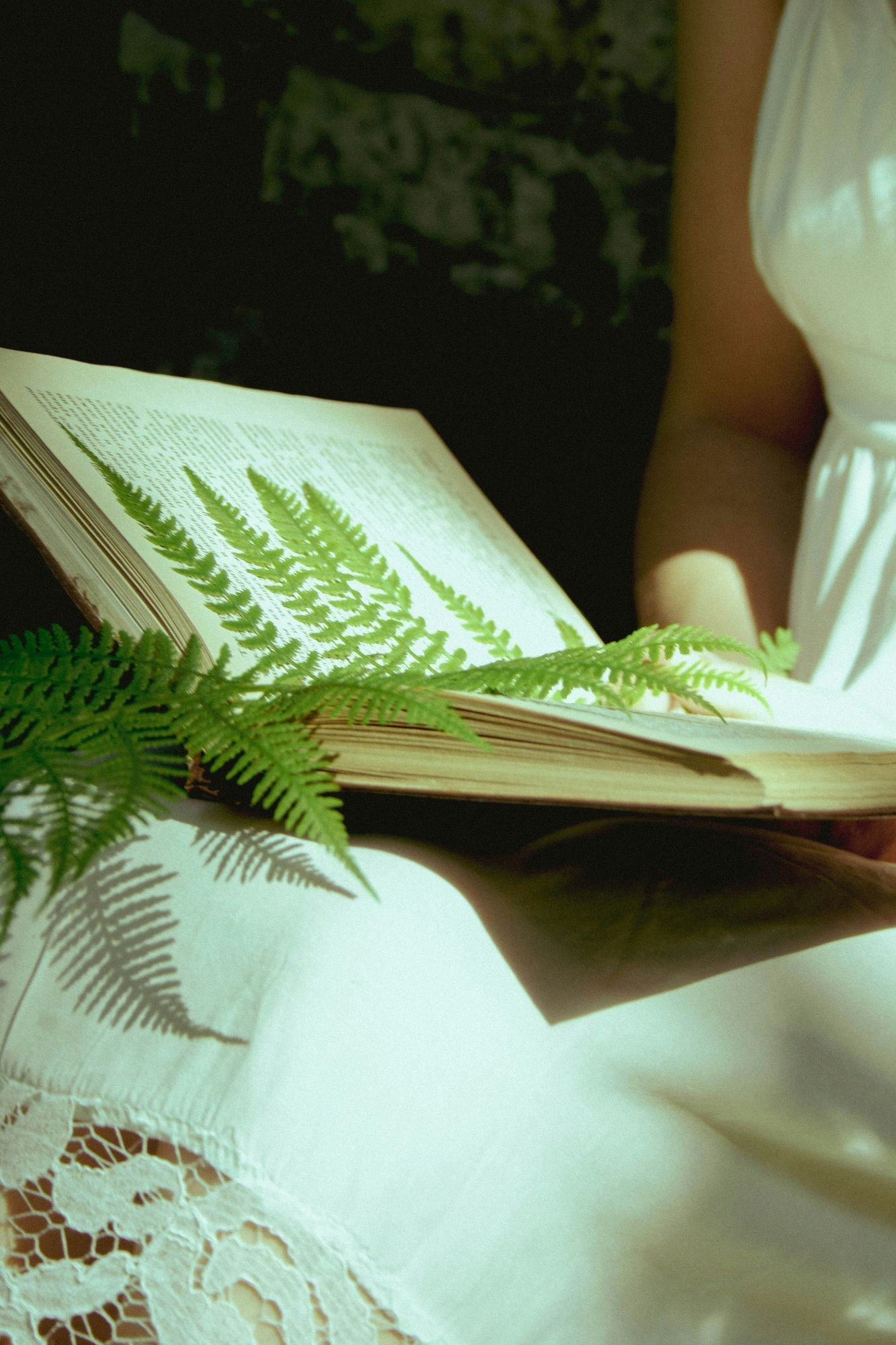 Slightly abstract image of person in a white dress reading a book in the forest