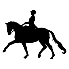 Class 5 - Dressage Only Novice 3 (2024)