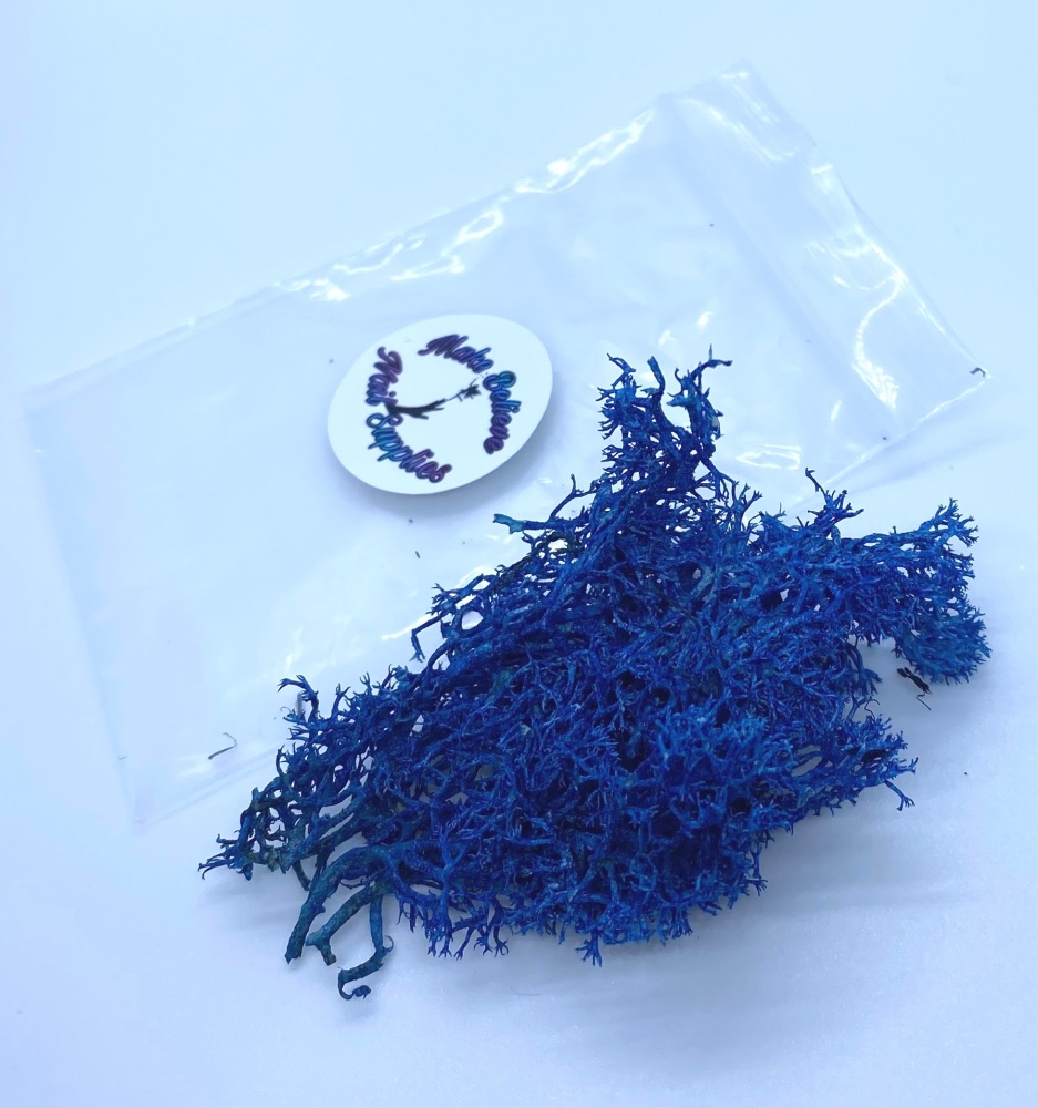 Blue reindeer moss