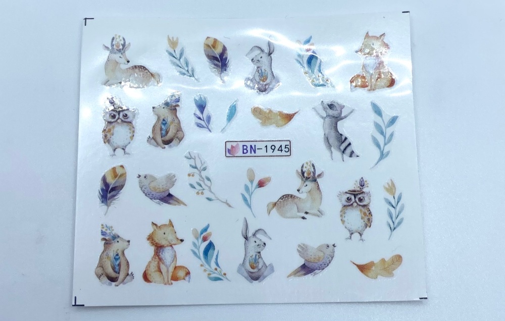 Winter Animals