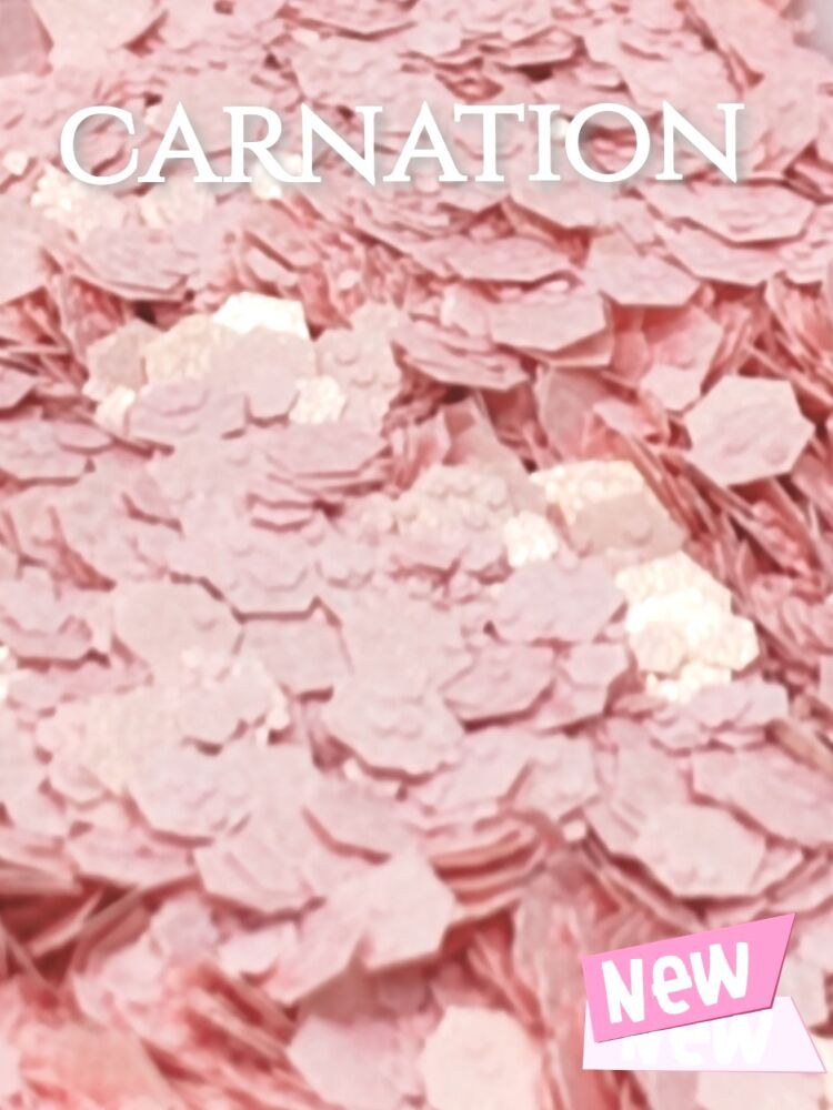 Carnation