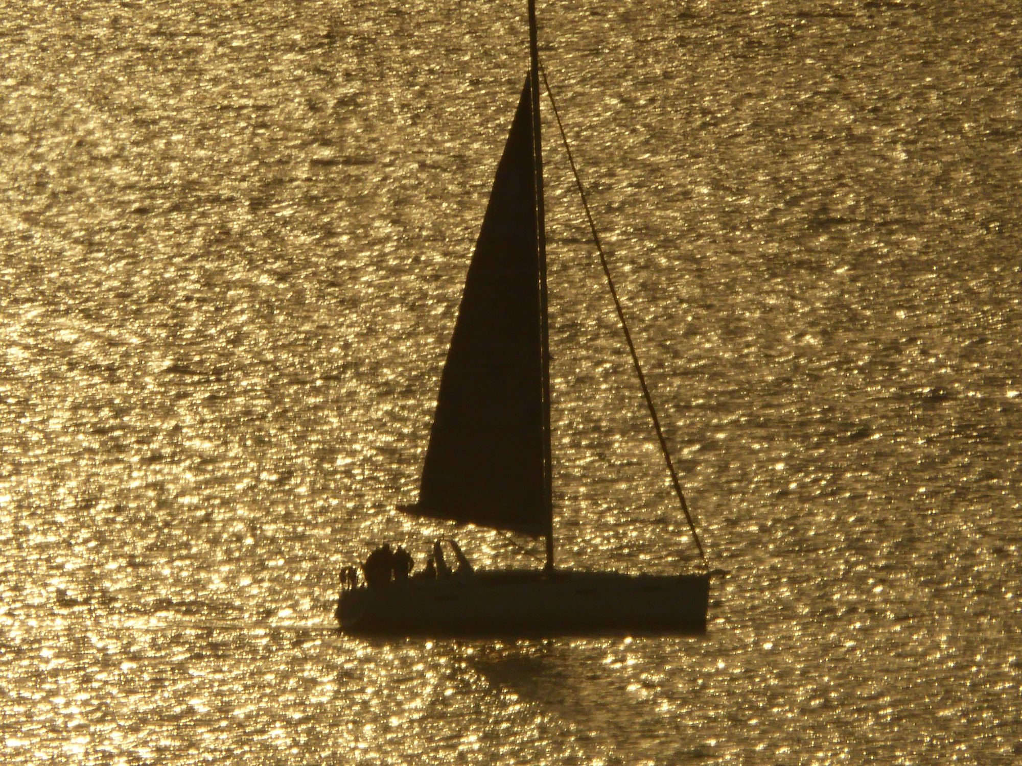 sail 2