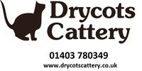 drycott_cat